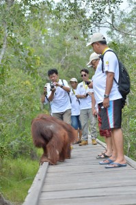 Trans Borneo Expedition 2014     